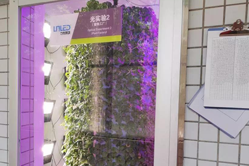 力儂光測試試驗室里的氣霧栽培