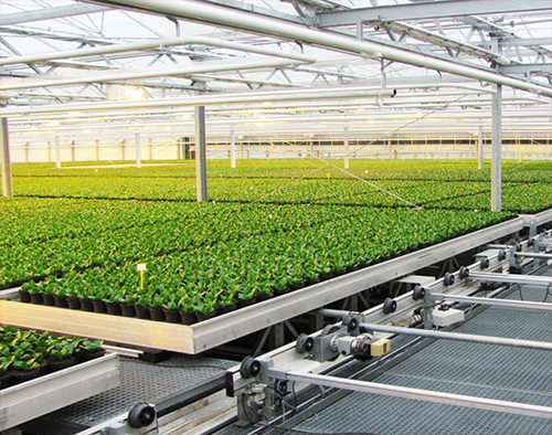 Liandong greenhouse